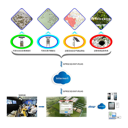 农作物病虫害实时监控物联网设备