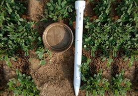 管式土壤墒情监测站