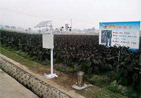 农作物病害（赤霉病、晚疫病）实时监测预警仪