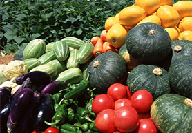 农产品质量安全追溯系统