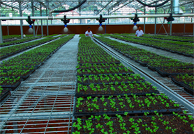 农田水肥一体化智能控制系统