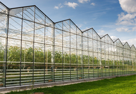 智能温室大棚控制系统