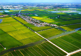 农业四情监测预警系统