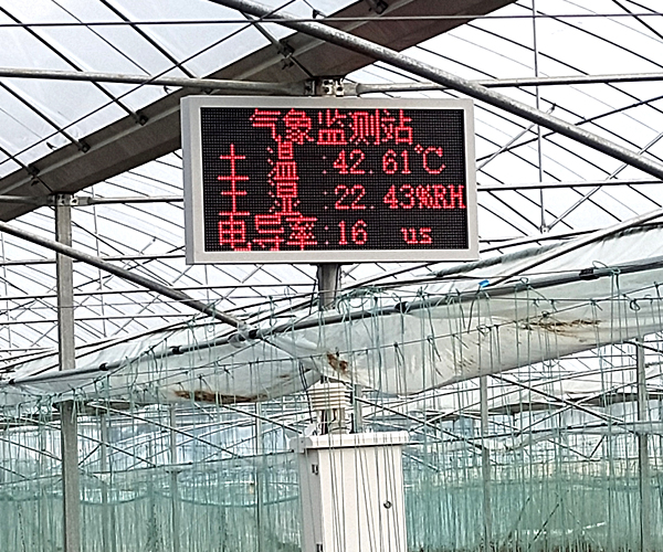 农业大棚园区气象监测