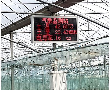 农业大棚园区气象监测